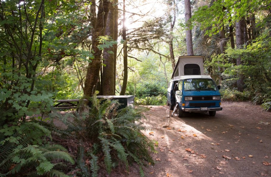Del Norte Coast Redwoods State Park, California, USA